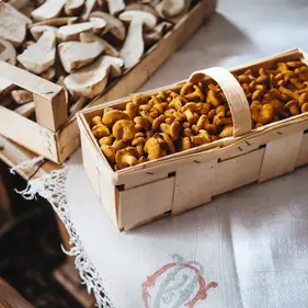 Holzkorb voller goldener Pfifferlinge auf besticktem Leinen, daneben Kiste mit geschnittenen Pilzen.